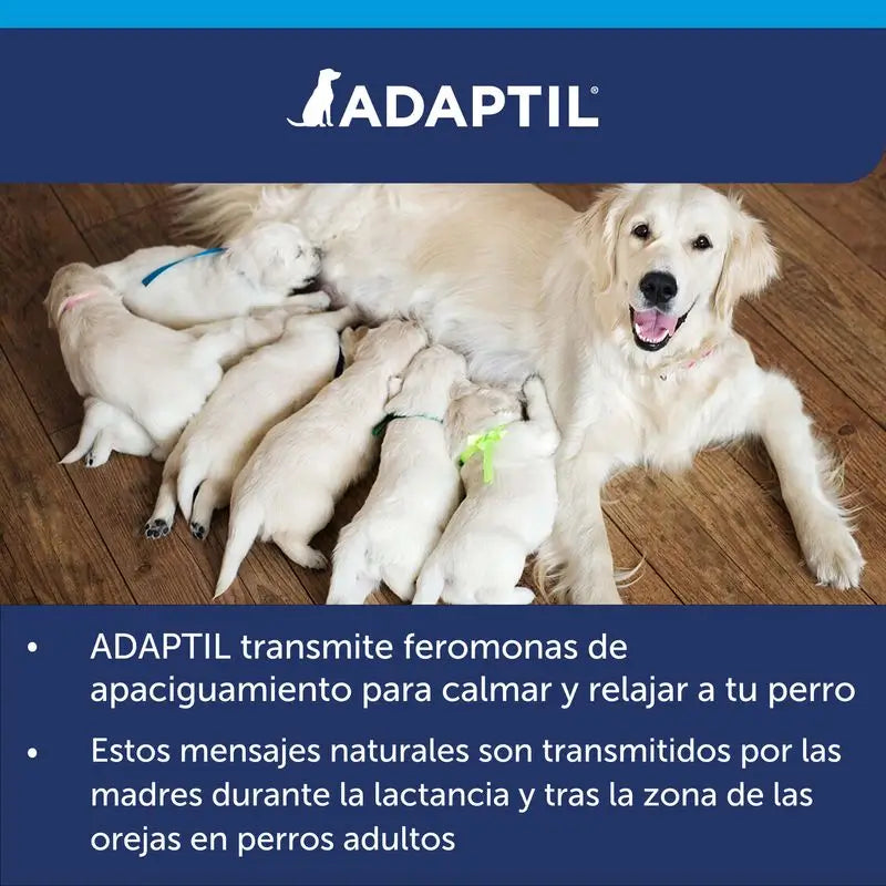 Difusor Adaptil Calm + Recarga 48 ml, 1Mês