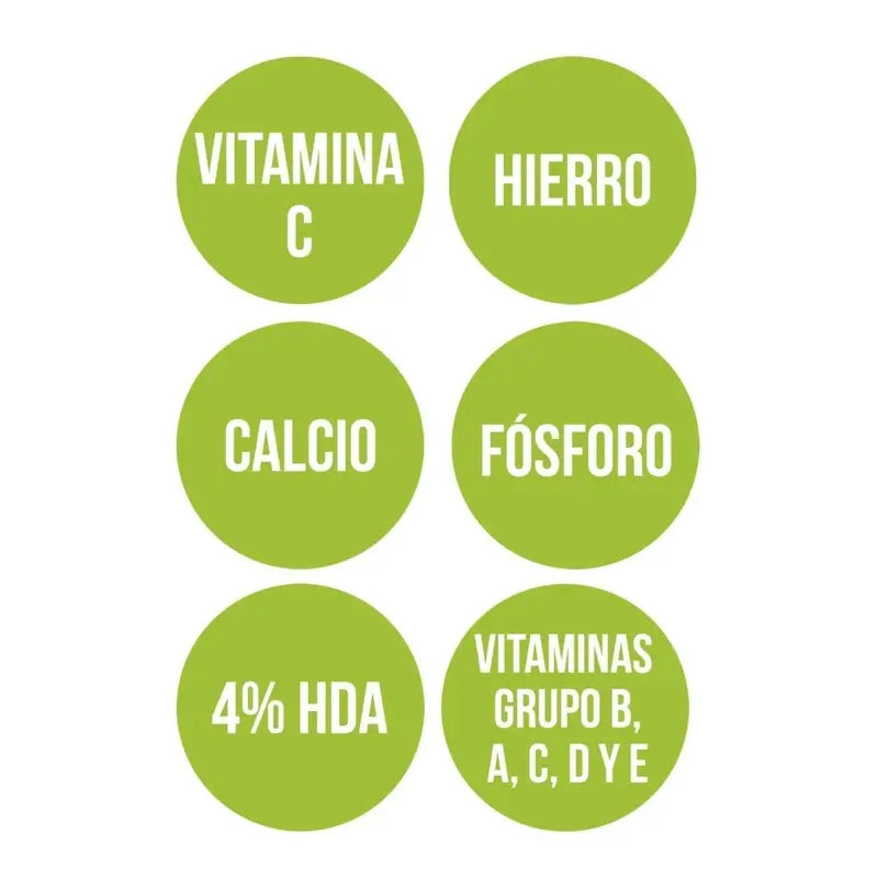 Ana Maria Lajusticia Geleia Real com Vitamina C 60Cap.