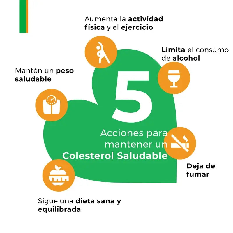 Armolipid Plus Controlo do Colesterol e dos Triglicéridos, 60 Cápsulas