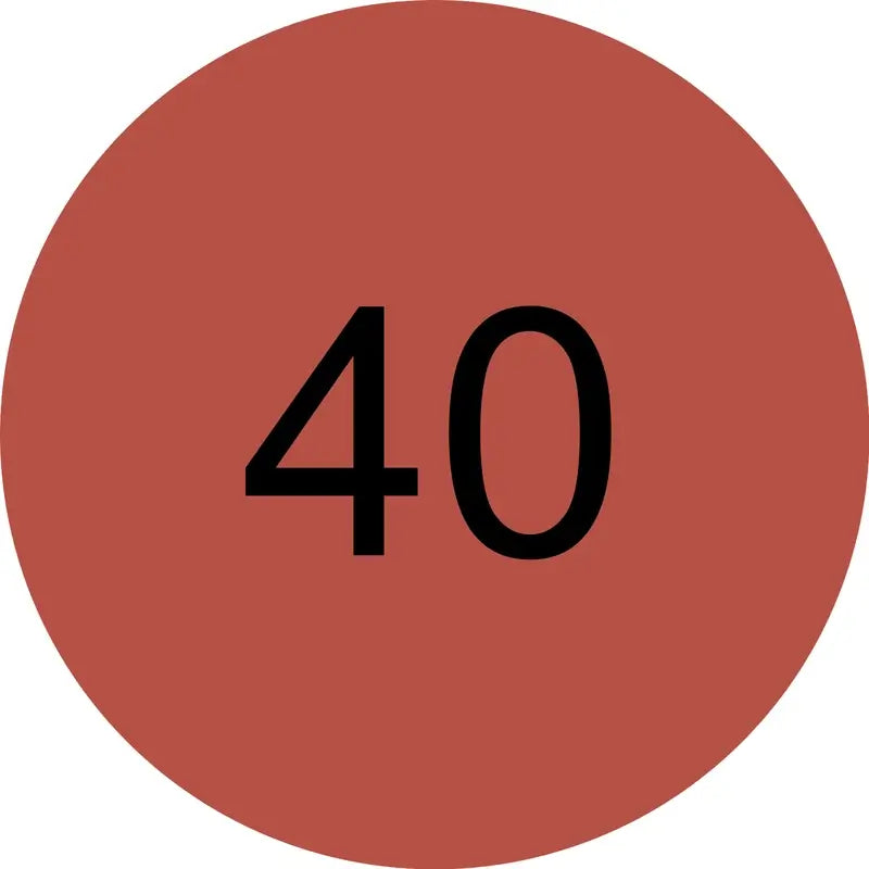 Catrice Liquid Lipstick Endless Matte 040 , 4,5 ml