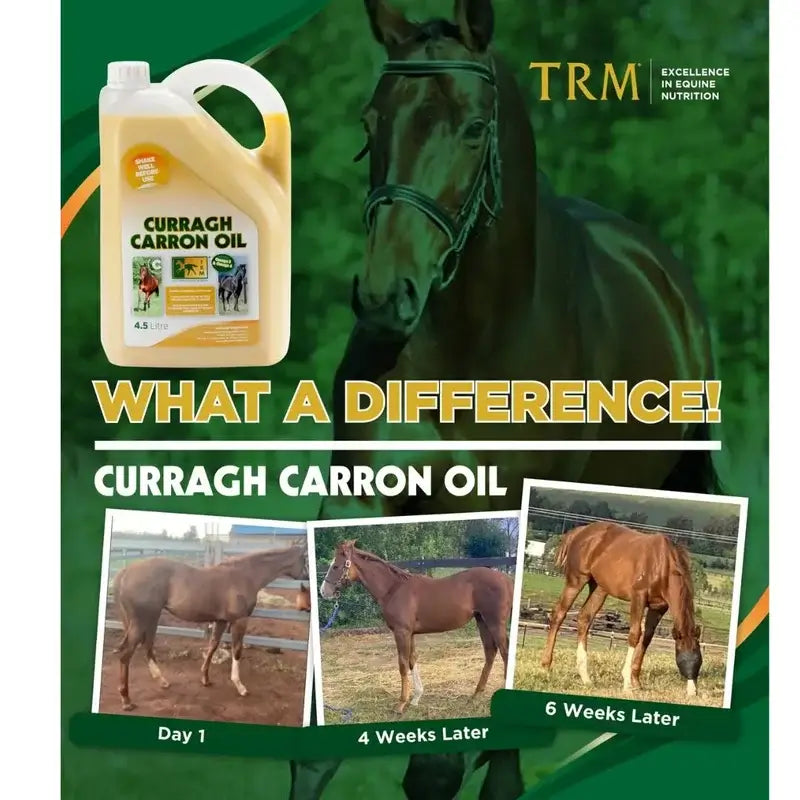 Curragh Carron Oil 4,5 litros. Ómega 3-6