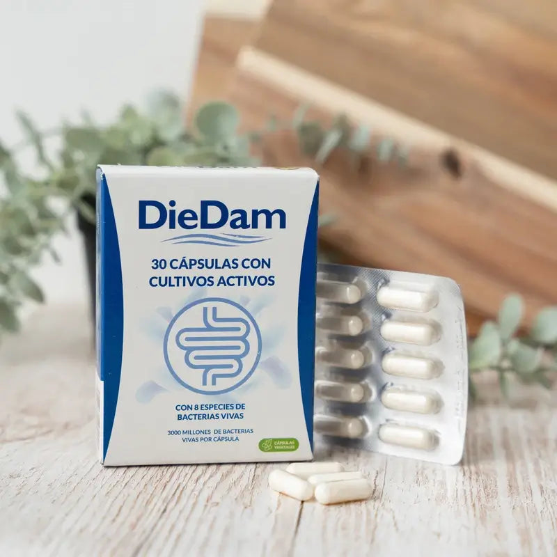 DieDam Probiótico em cápsulas entéricas - Lactobacilos, bifidobactérias e inulina