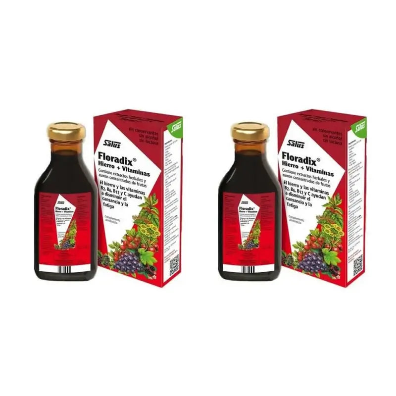 Floradix Floradix Ferro + Vitaminas, embalagem de 2X500 Ml