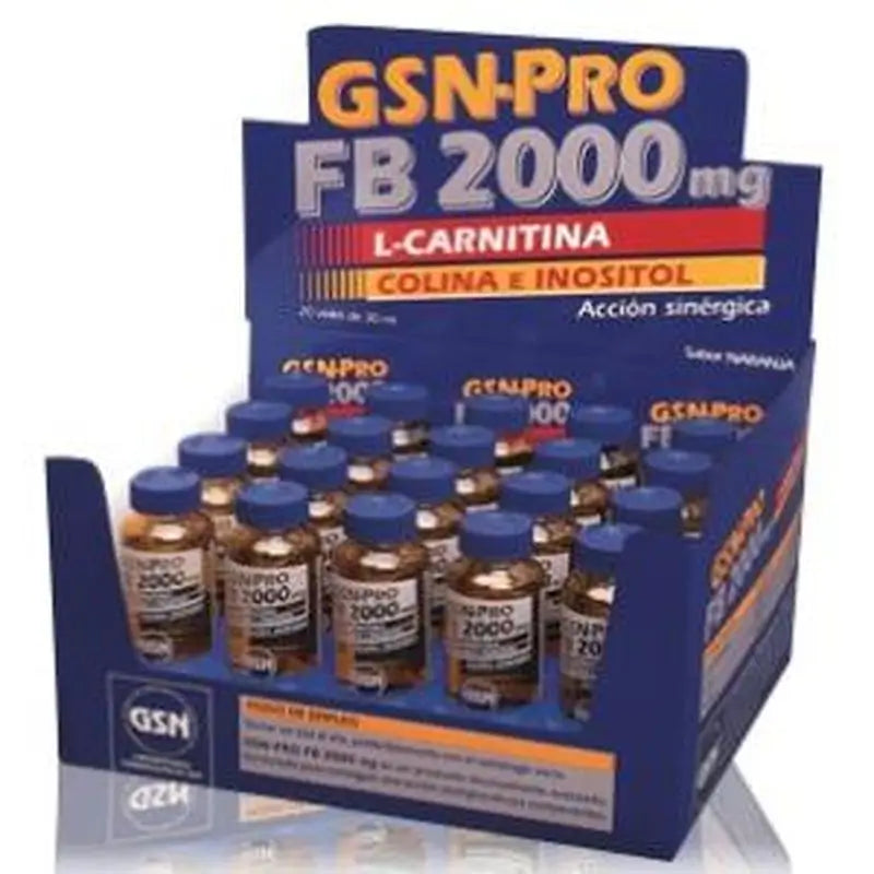 Gsn Gsn-Pro Fb-2000Mg 20Viales (Carnitina) 30 Ml