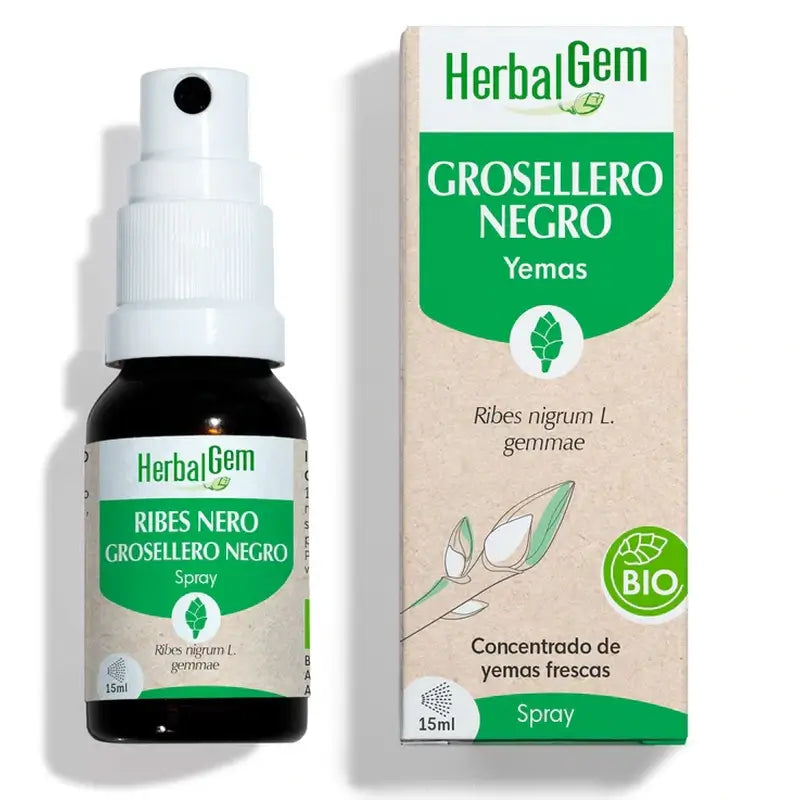 Herbalgem Groselha Preta, 15ml