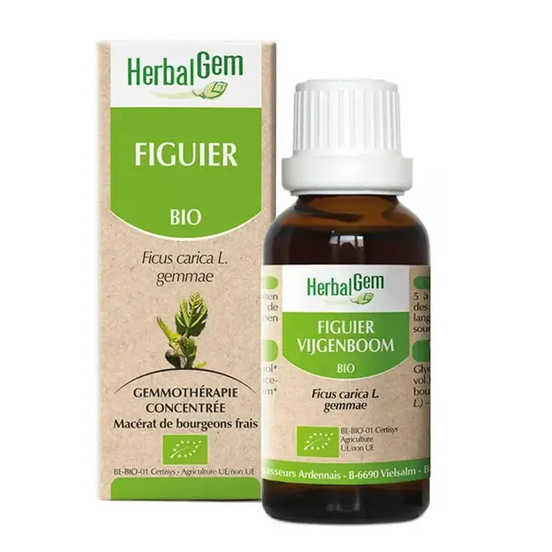 Herbalgem Figueira, 30ml