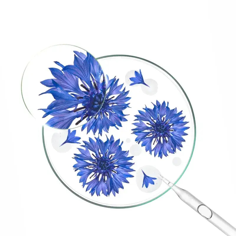 Klorane Gel Creme Com Água de Centáurea, 50 ml