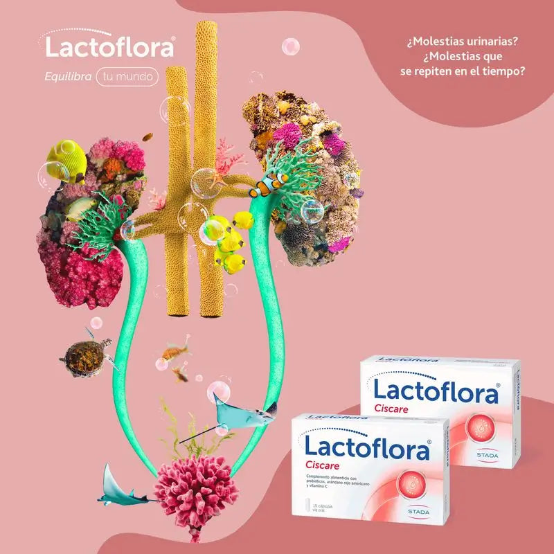 LACTOFLORA PROTECTORA COM MIRTILOS, 15