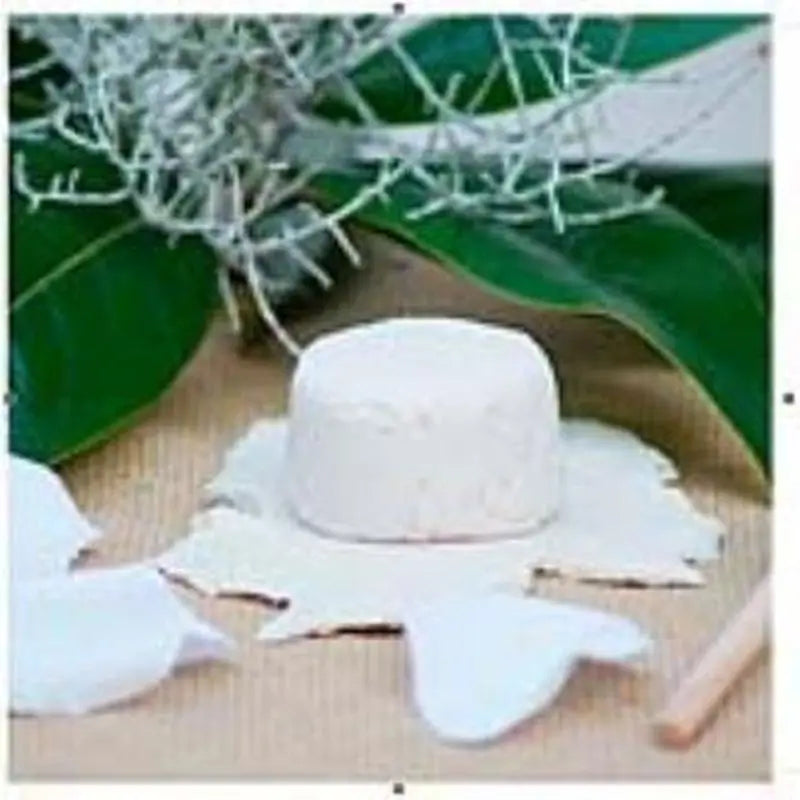 Champô sólido nutritivo Nitx 85Gr.