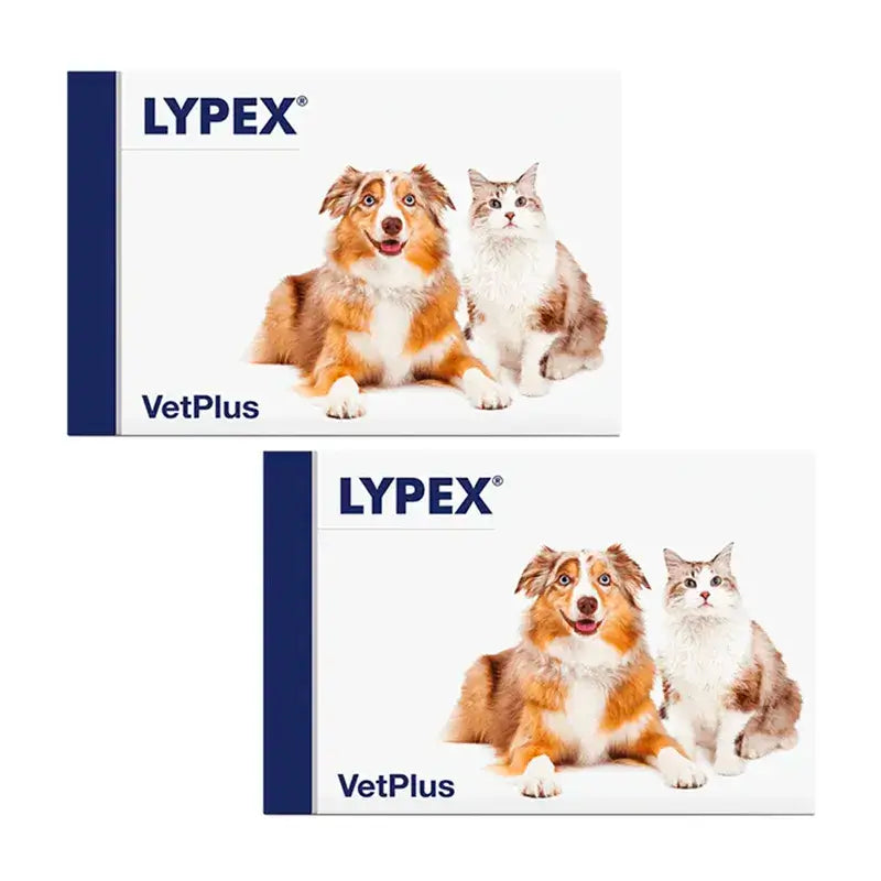 Lypex Blister, Embalagem 2 x 60 Cápsulas