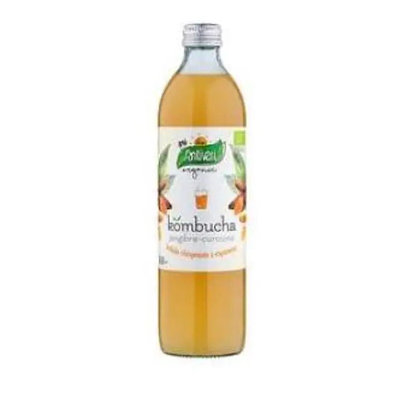 Santiveri Kombucha Curcuma + Jengibre 500Ml.