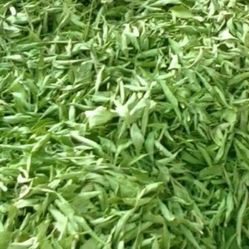 Stevia Del Hoja Entera De Stevia Eco , 500 gr