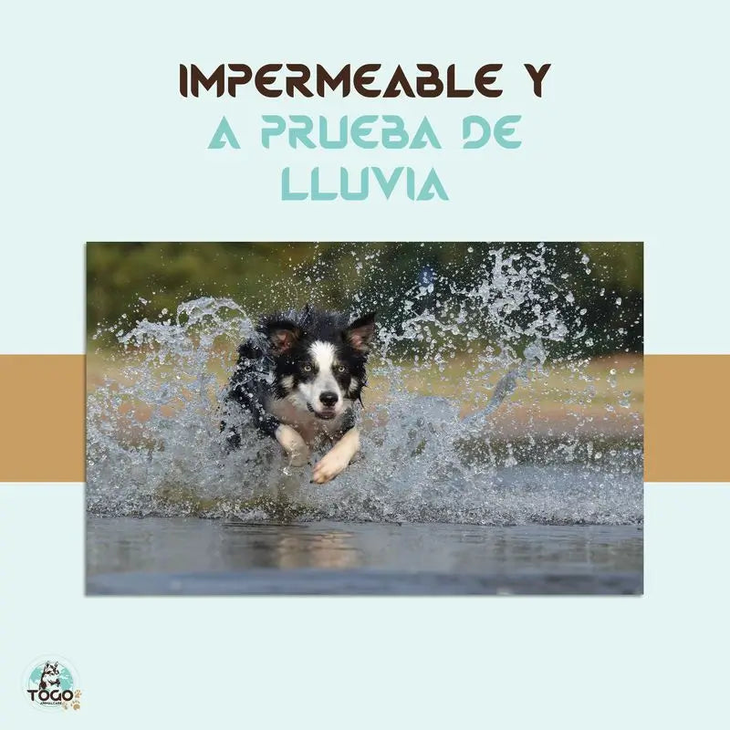 Coleira repelente anti-pulgas Togo para cães de todos os tamanhos - Branca