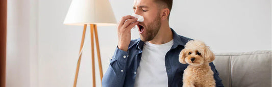 Alergias em animais de estimação