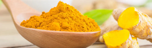 Cúrcuma: benefícios e contraindicações 