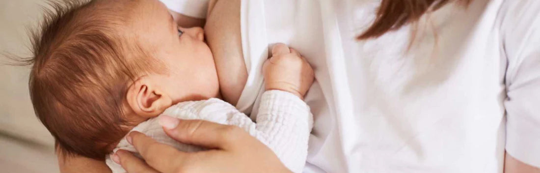 Amamentação e fissuras nos mamilos Como acalmar e prevenir a irritação?