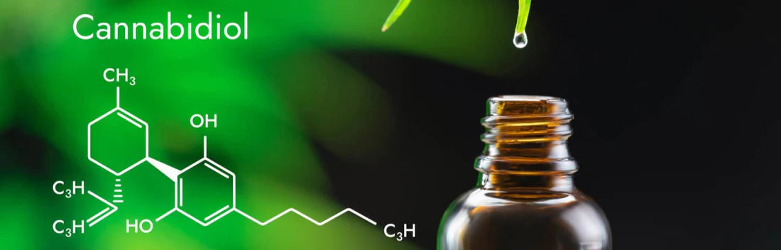 O que é o canadibiol ou CBD? Descubra os seus benefícios e efeitos secundários