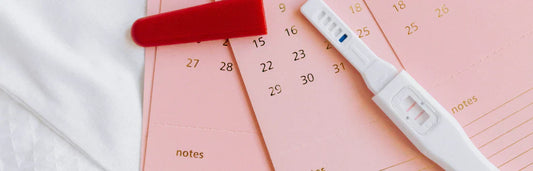 Gravidez e ovulação Como calcular os seus dias férteis?