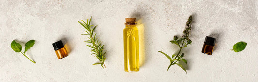 O que é a detox express e como fazê-la corretamente para purificar o organismo