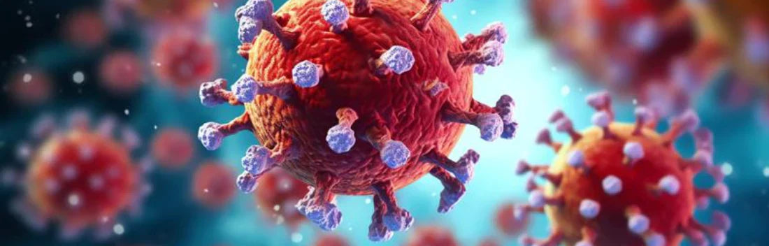 Hantavírus: o que é, sintomas mais comuns e como prevenir o contágio