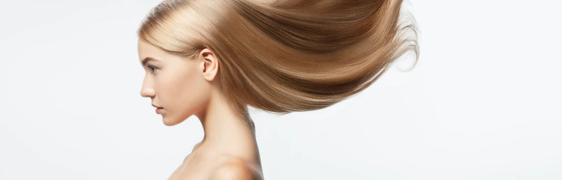 Conhece a Nuggela & Sulé?