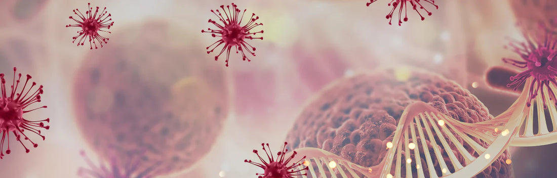 Suplementos para o reforço do sistema imunitário