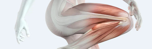 Proteínas, minerais e vitaminas para as articulações