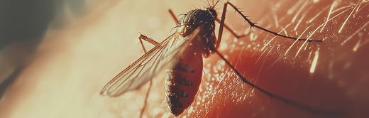 Zoonoses Quais são as doenças zoonóticas dos cães e gatos?