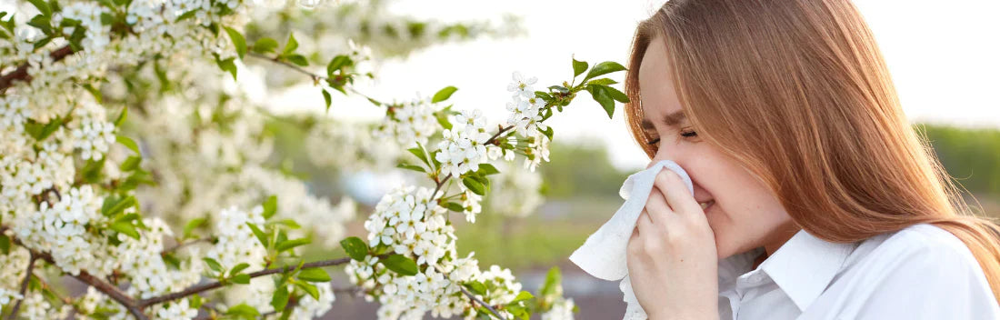 Rinite alérgica ou febre dos fenos Como melhorar os sintomas?