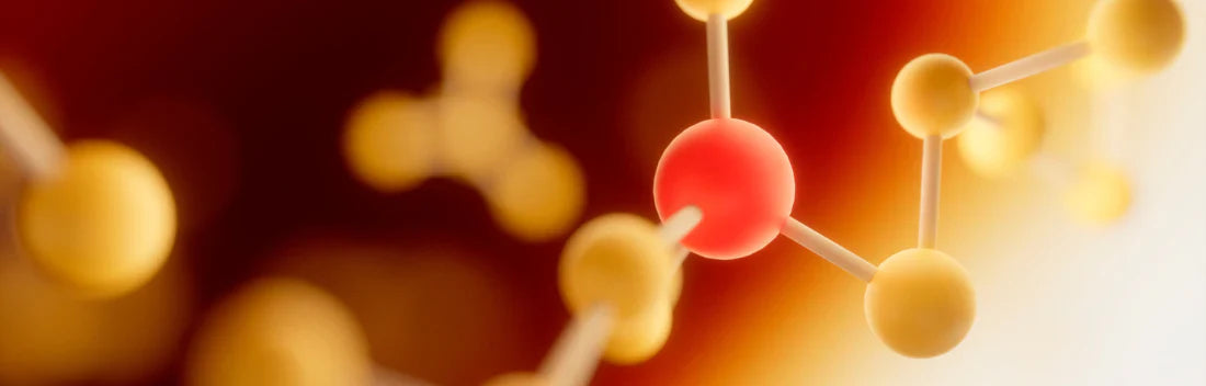  Quais são os benefícios da L-carnitina e se tem algum perigo ou efeito secundário?