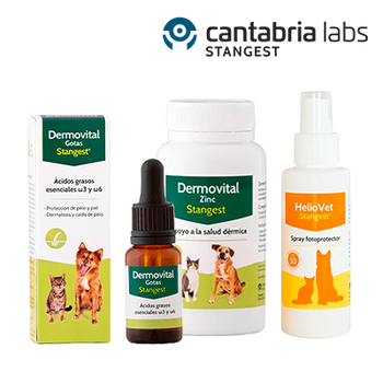YELLOWDAYS - STANGEST - HELIOVET Y DERMOVITAL 20% (21 JUNIO 2026)