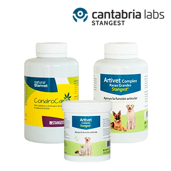 STANGEST CONDROCARE Y ARTIVET HASTA 20% DTO. (31 MAYO 2026)