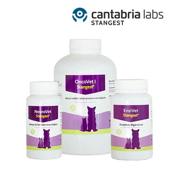 STANGEST - ENZIVET, ONCOVET, NEUROVET E HEPA-T-DETOX 20% DE DESCONTO (28 DE FEVEREIRO DE 2026)