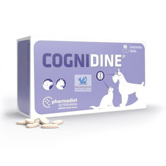 Pharmadiet Cognidine, 60 comprimidos