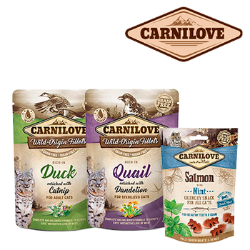 CARNILOVE 30% DTO. (31 DICIEMBRE 2025)