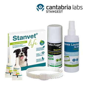 - VERANO - CANTABRIADAYS - STANGEST - PROTECCIÓN DE VERANO E HIGIENE 15% (28 JUNIO 2026)