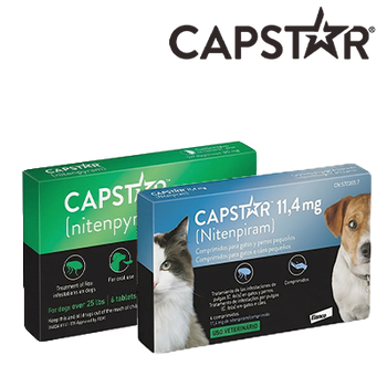 ELANCO - CAPSTAR ANTIPARASITARIOS (31 JULIO 2026)