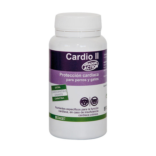Stangest Cardio II Carnitine, 60 Comprimidos