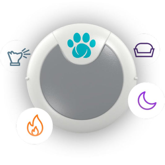 Animo Sure PetCare - Monitor de Comportamento e Actividade para Cães.
