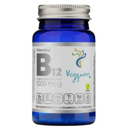Vitamina B12 Flash 100Comp.