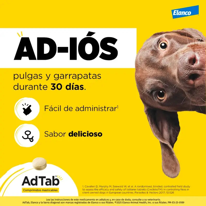 Adtab 112Mg Comprimidos Mastigáveis Cães 2,5-5,5Kg, 6 Comprimidos
