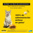 Adtab 48Mg Comprimidos Mastigáveis Gatos 2-8Kg, 2 Comprimidos