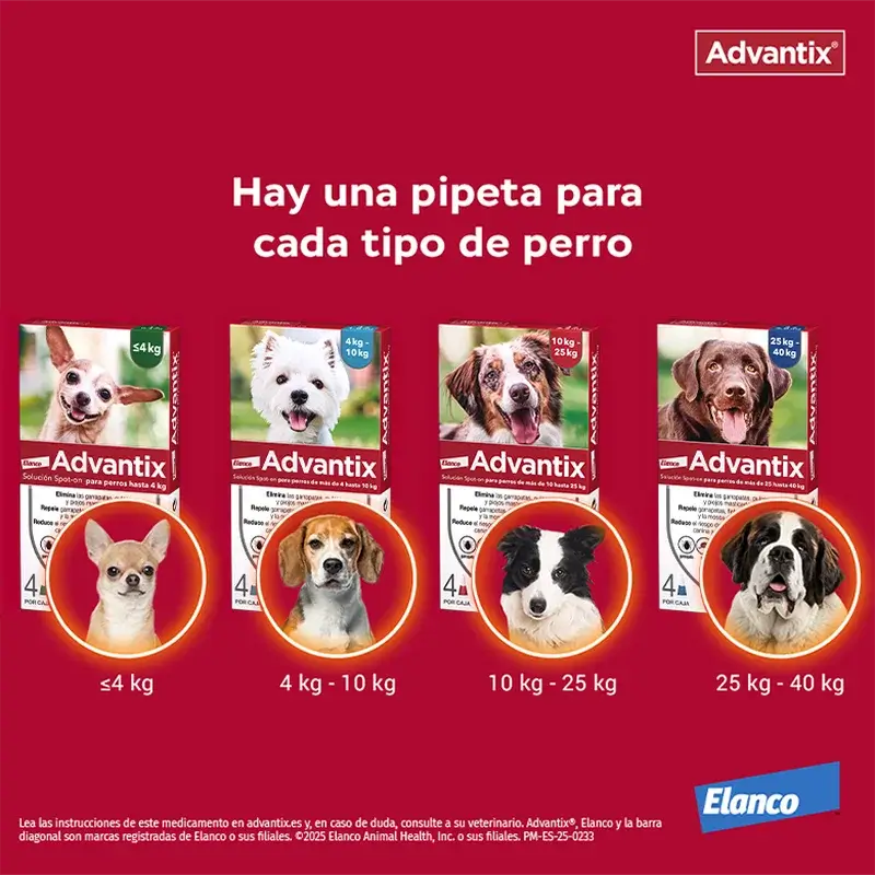 Advantix Antiparasitário Pipetas para Cães de 4 a 10 Kg 4 Unidades X 1 Ml