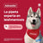 Advantix Antiparasitário Pipetas para Cães de 4 a 10 Kg 4 Unidades X 1 Ml
