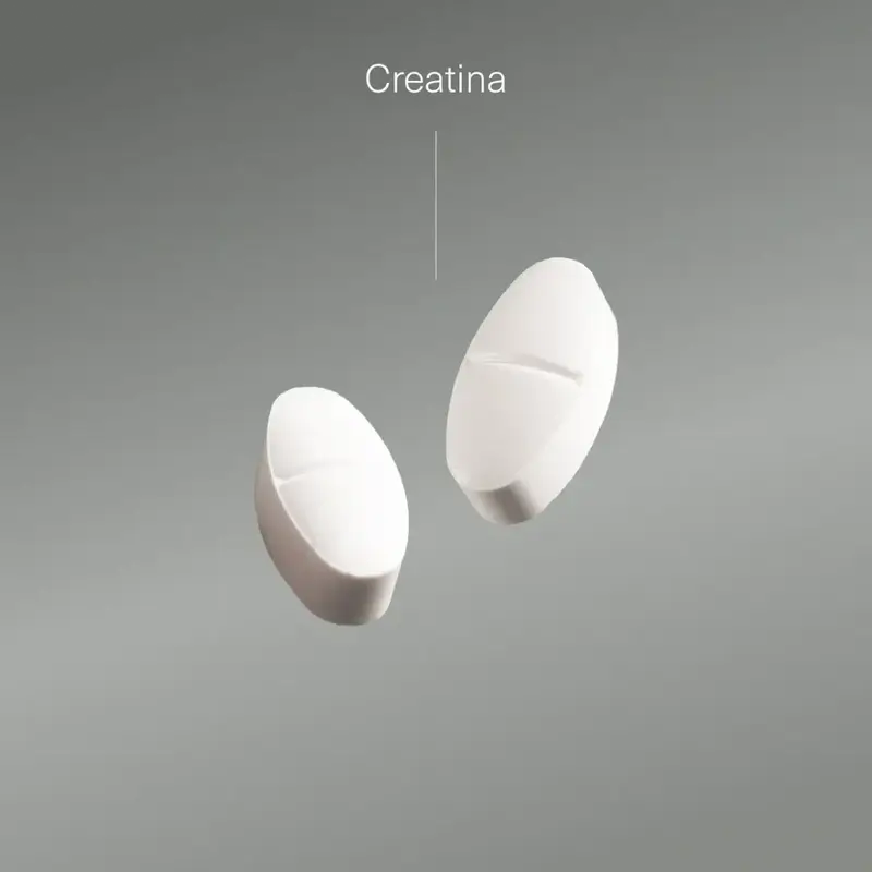 Aldous Bio Creatina Monohidrato , 200 comprimidos