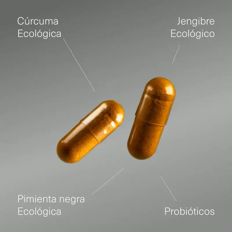 Aldous Bio Curcuma com Gengibre e Pimenta Preta com Probióticos, 2X250 Cápsulas