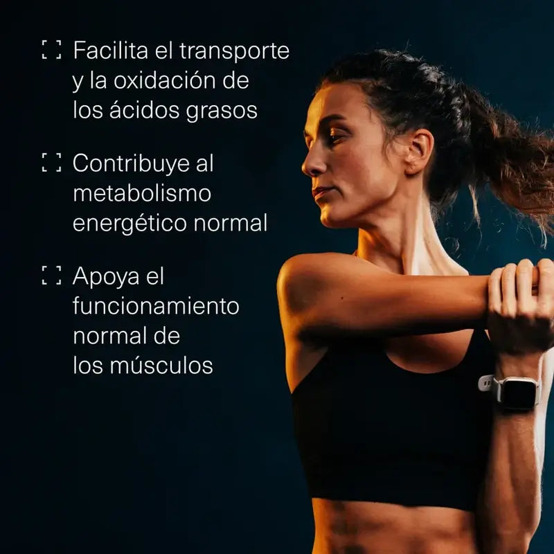 Aldous Bio L Carnitina 2000Mg Pré-treino e Suplemento de Recuperação Muscular, 200 Comprimidos