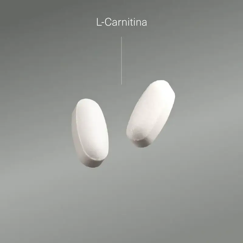 Aldous Bio L Carnitina 2000Mg Pré-treino e Suplemento de Recuperação Muscular, 200 Comprimidos