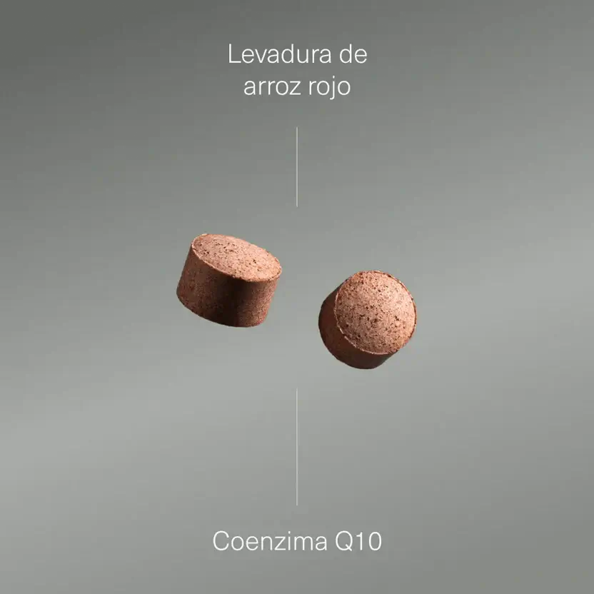 Aldous Bio Aldous Levedura Vermelha de Arroz com Coenzima Q10 , 400 comprimidos