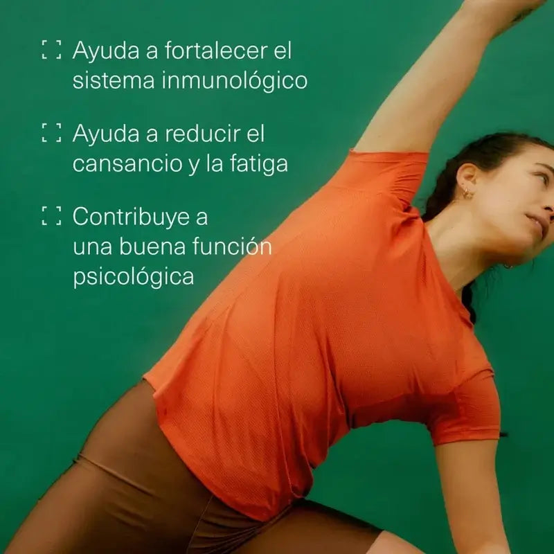 Aldous Bio Vitamina B12 com Ácido Fólico , 400 comprimidos